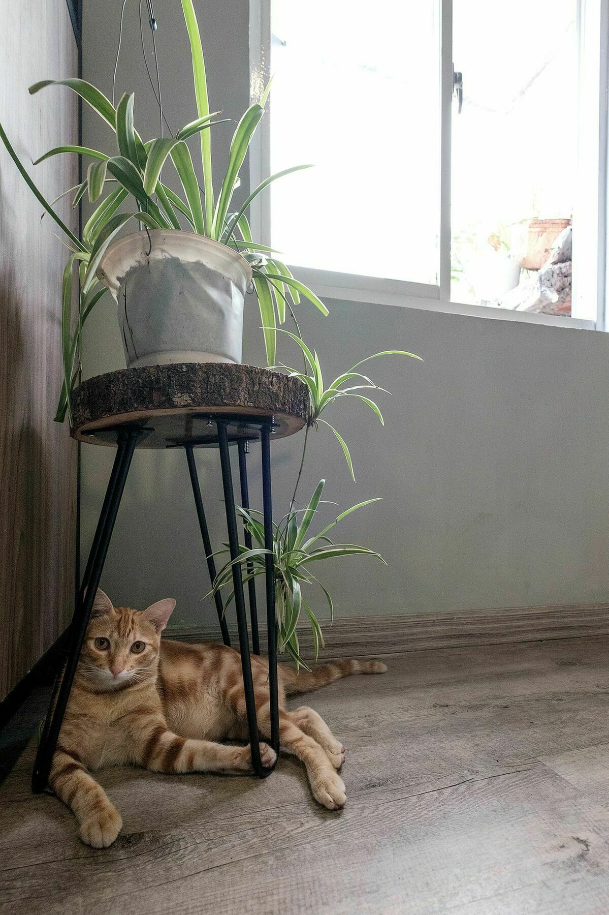 Saigon Inner Home Hô Chi Minh-Ville Extérieur photo